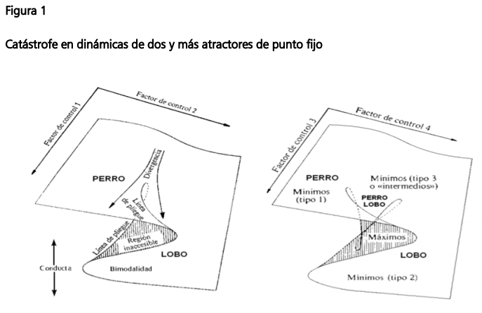 figura1