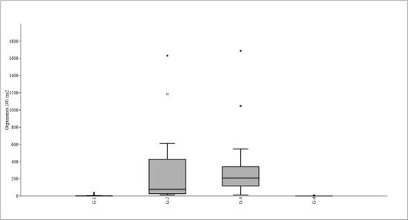 Figura 3