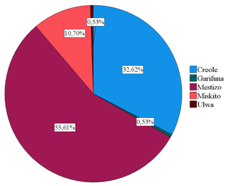  Distribución por
identidad étnica de los encuestados