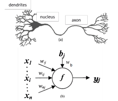 arbol