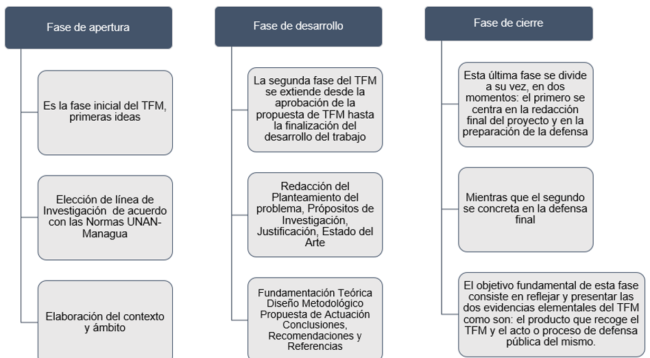 Fases del trabajo fin de Máster