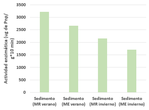 Actividad enzimática por época de muestreo