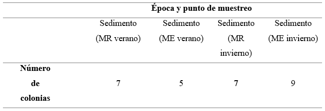 Número de colonias identificadas según
tinción de Gram