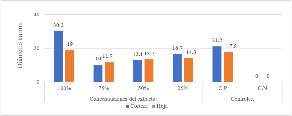 Comparación del promedio de diámetros de halos en ambos extractos respecto
a las concentraciones evaluadas.