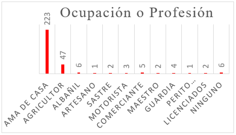 Ocupación o profesión