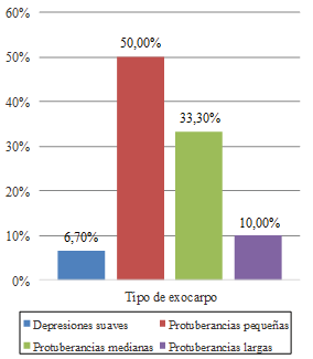 Guerra02