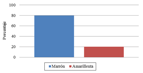 Guerra04