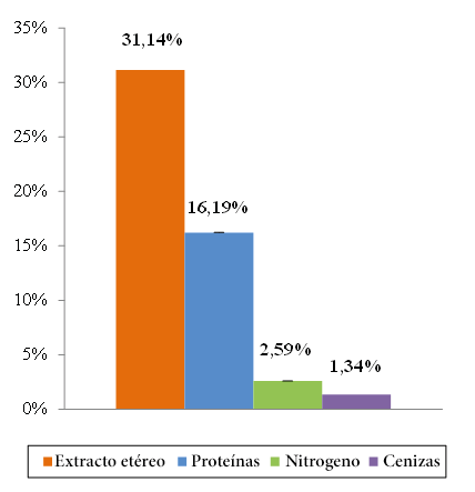 Guerra07