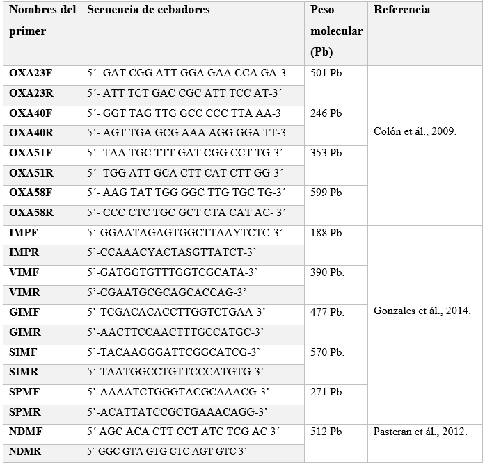Secuencia
de cebadores carbapenemasas clase B y clase D.