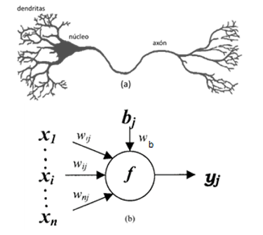 Representación
de una NB y una NA.